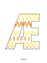 Æ - plakat (30x40 cm)