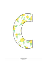 C - plakat (30x40 cm)